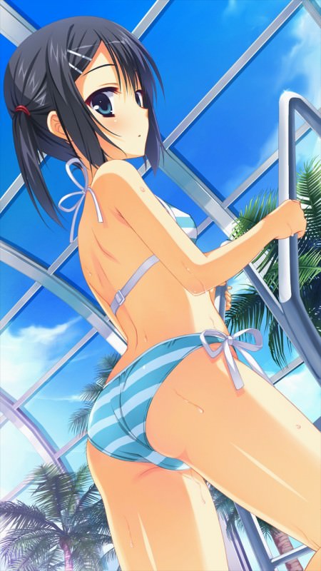  ,  ,    ,      .       ,       